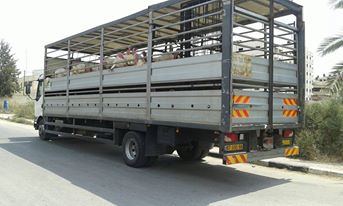 الضابطة الجمركية تضبط شاحنة محملة بالحبش